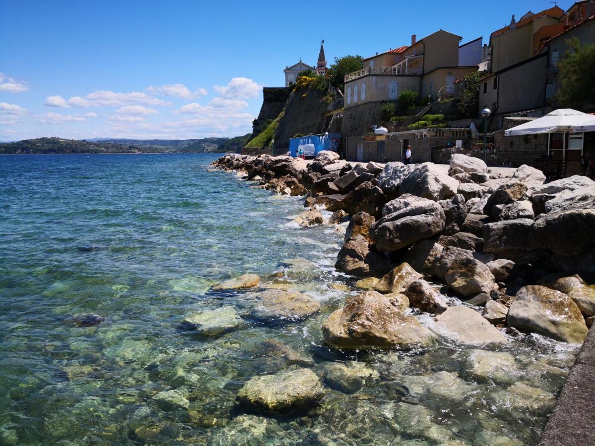 Galilea 14 * Piran